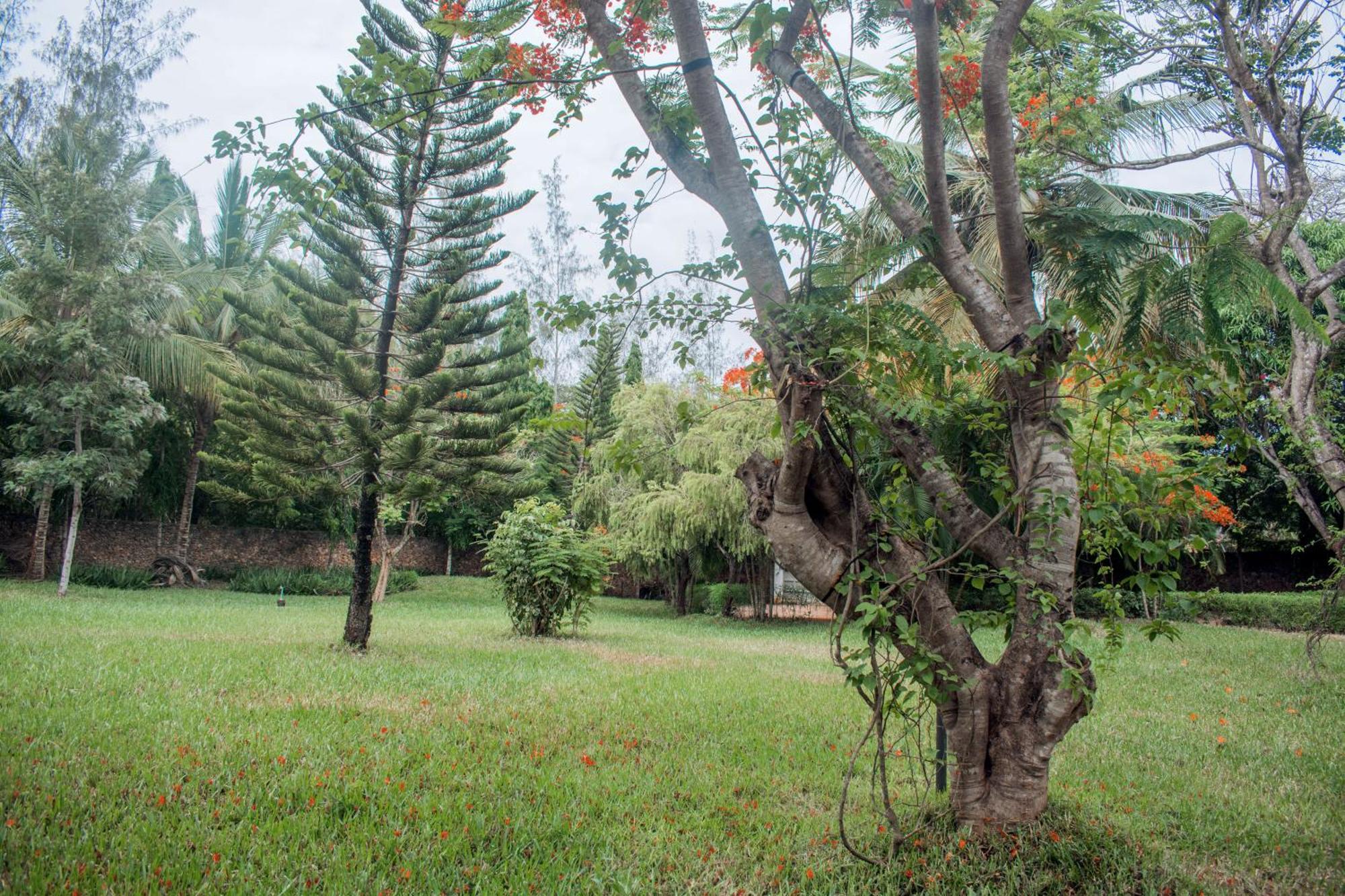 Kijani Cottages In Diani Diani Beach Exterior foto