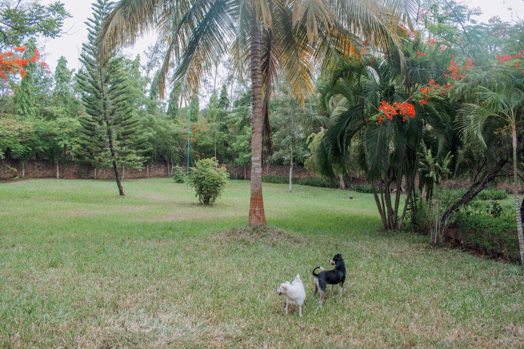 Kijani Cottages In Diani Diani Beach Exterior foto